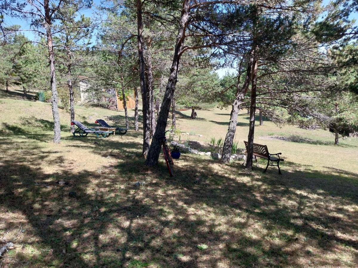 Petit Studio Dans La Prairie Saint-Auban  Bagian luar foto